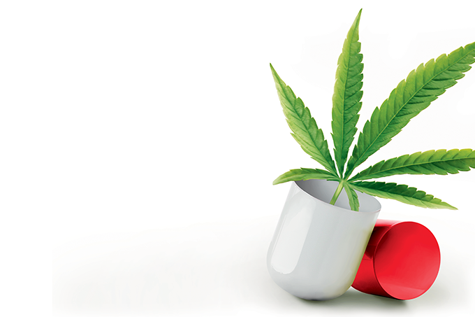 Panaceia da cannabis medicinal é discutida em congresso de neurociência