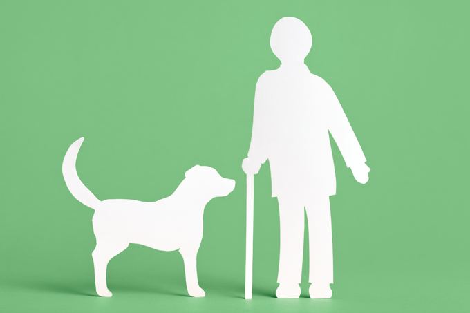 Cuidar de um cão melhora a qualidade de vida ao envelhecer