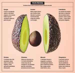 481_materia_avocado_esquema_II avocado