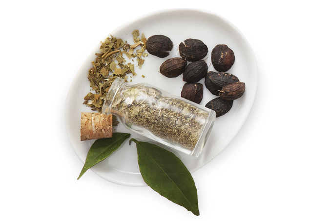 Estudo revela benefícios dos fitoterápicos para pessoas com sobrepeso e obesidade