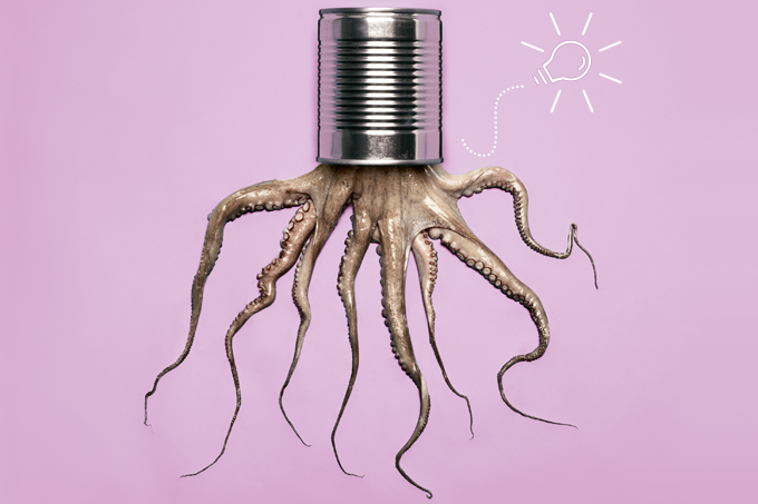 Os despertares da mente no mundo animal