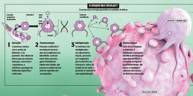 como funciona a terapia car-t