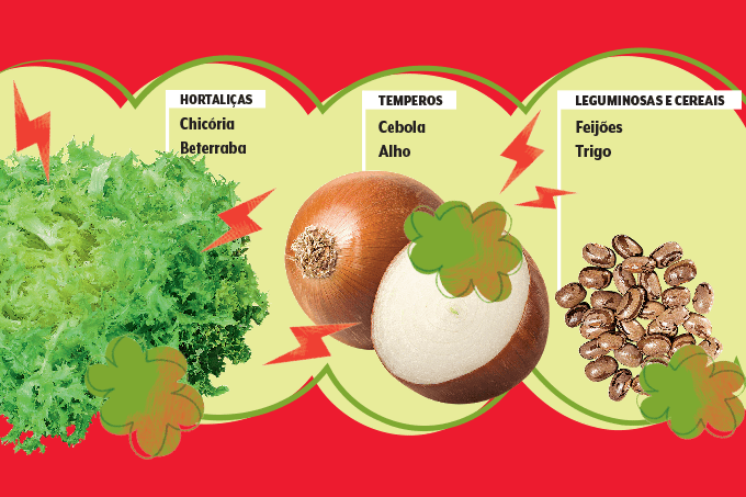 484_materia-fodmaps-ricos-em-fodmap-02 484_materia-fodmaps-ricos-em-fodmap-02