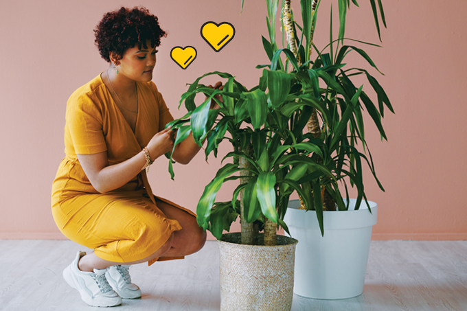 Ansiedade de (re)começos