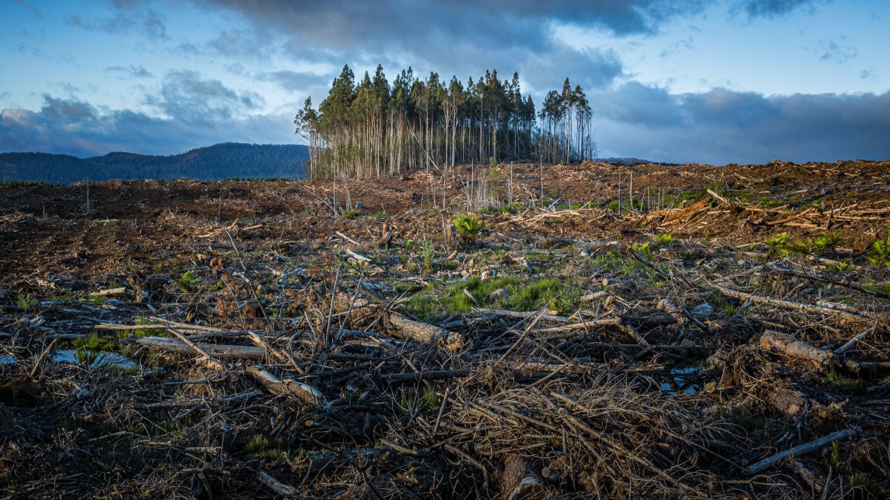 mudanças climáticas