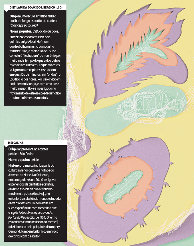 ilustração de fungo e de planta estilo cacto