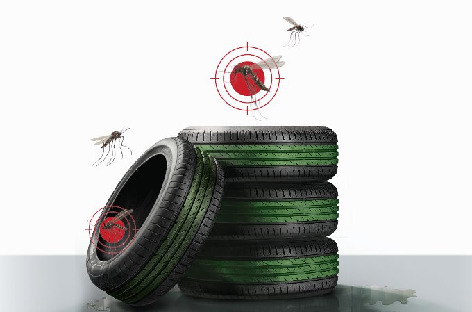 Conheça as diferenças entre o pernilongo e o mosquito da dengue