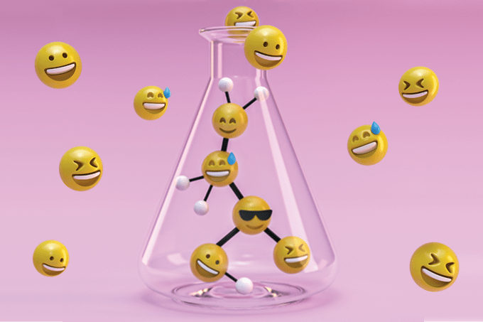 Na base e no topo, na jornada e na chegada: um olhar sobre a felicidade