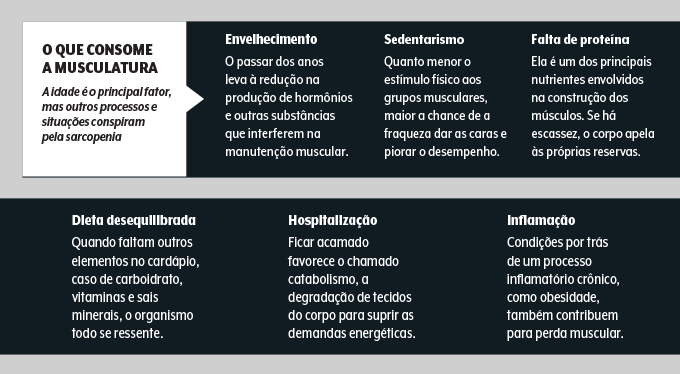 Fatores de perda muscular causas da sarcopenia