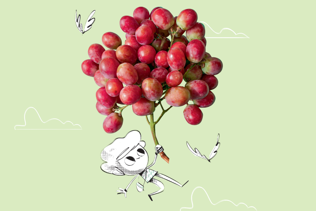 É festa da uva… no Brasil!