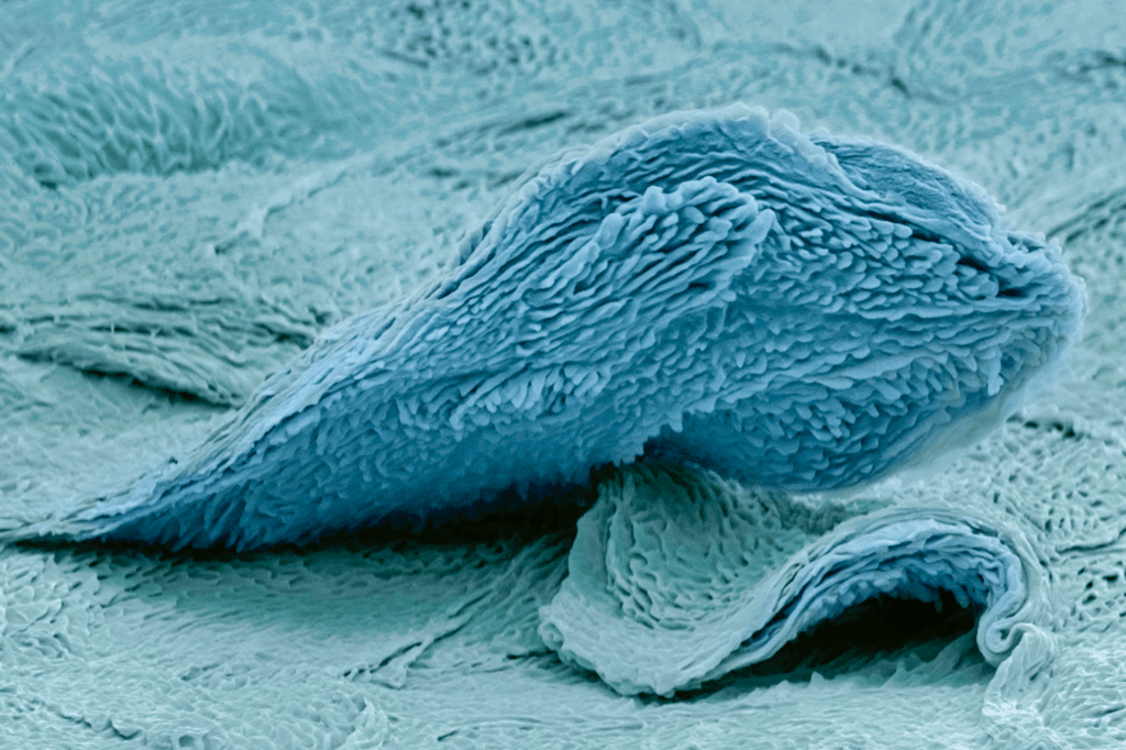 Zoom: na maior reciclagem