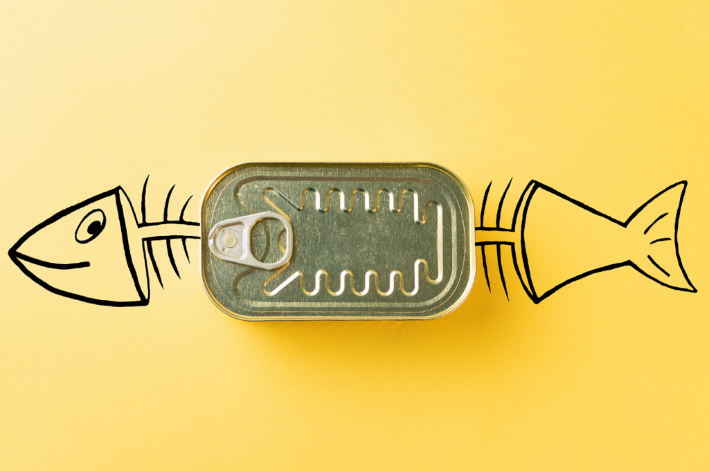 Pirarucu em conserva