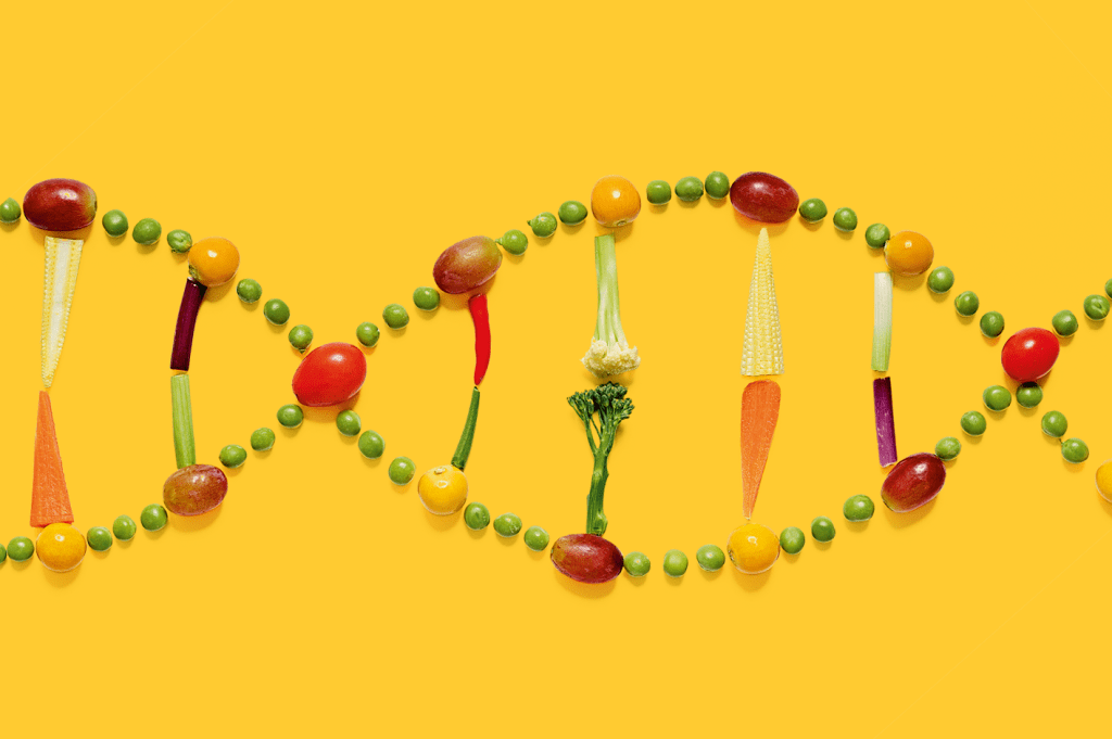 Transtorno alimentar grave é altamente genético