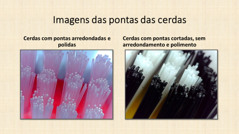 Cerdas em vis&atilde;o microsc&oacute;pica
