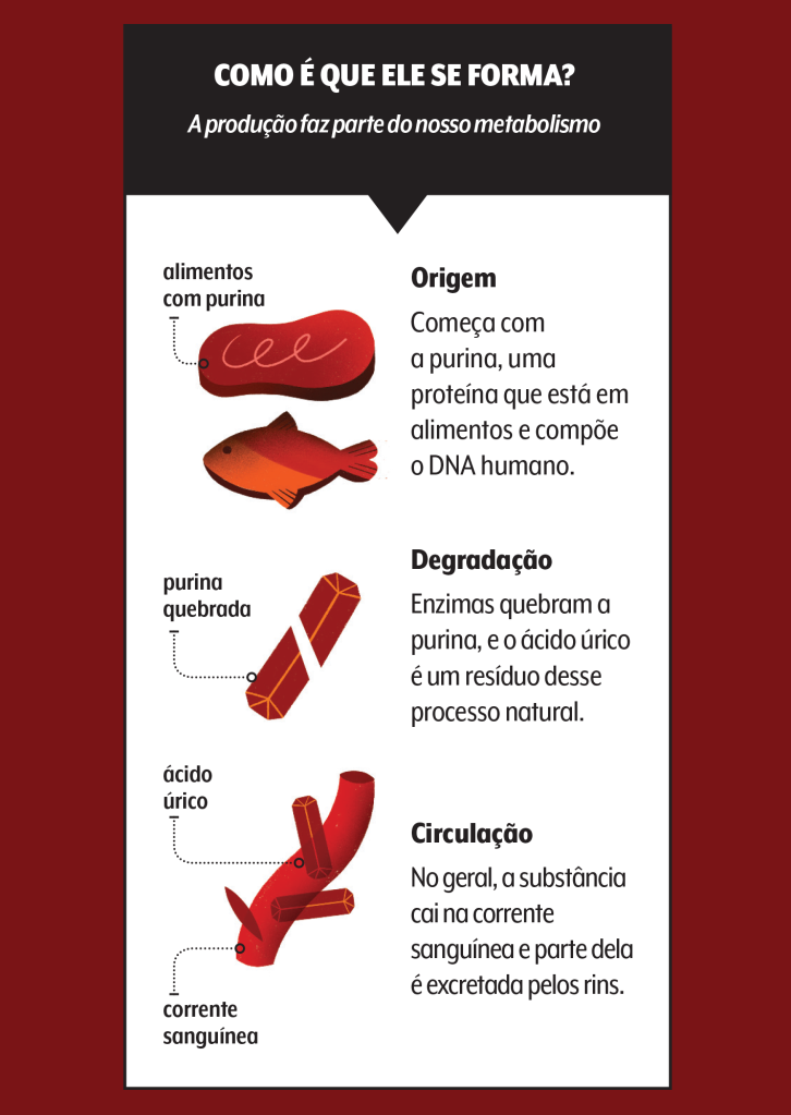 acido-urico-como-se-forma