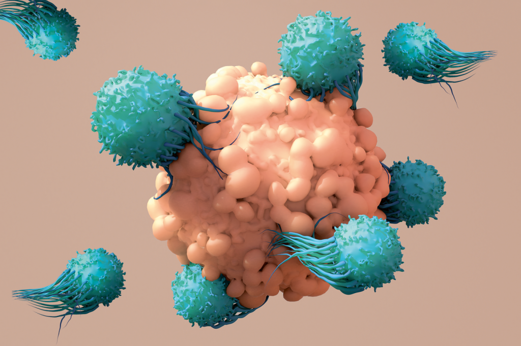 Terapia celular: remédios vivos contra o câncer