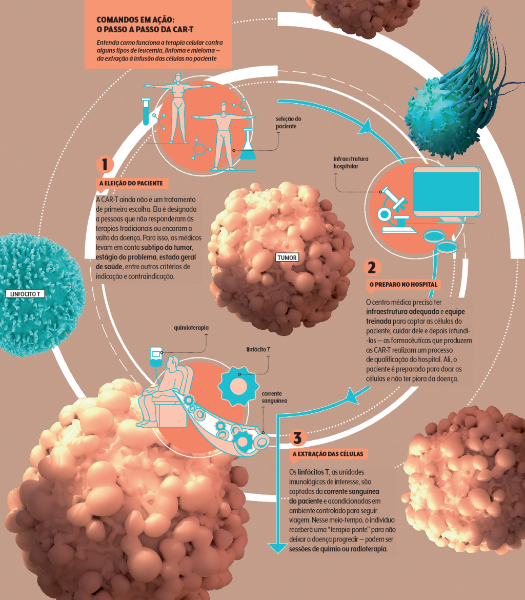 infográfico da terapia celular