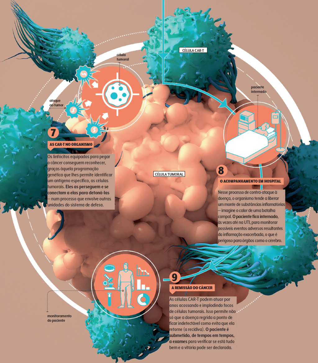 infográfico da terapia celular