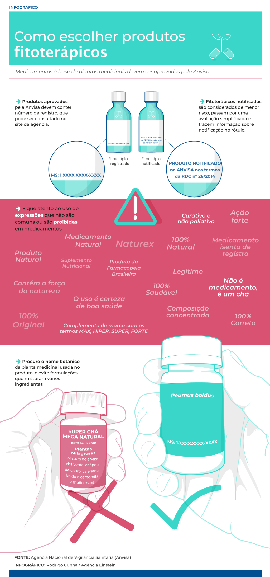 Infográfico sobre fitoterápicos