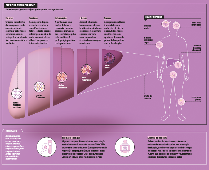 esquema sobre comprometimento do fígado