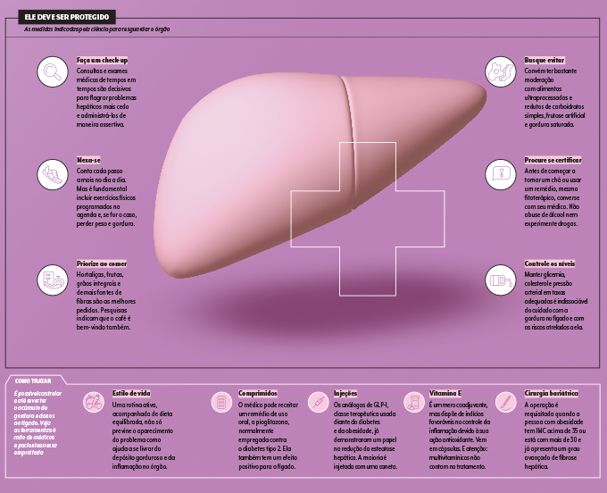 esquema sobre fatores de proteção ao fígado