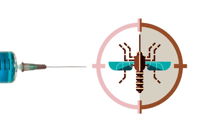Quem corre maior risco com a dengue — e o que esperar da nova vacina?