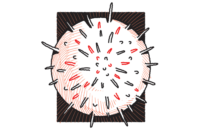 O que os vírus têm a ver com o câncer?