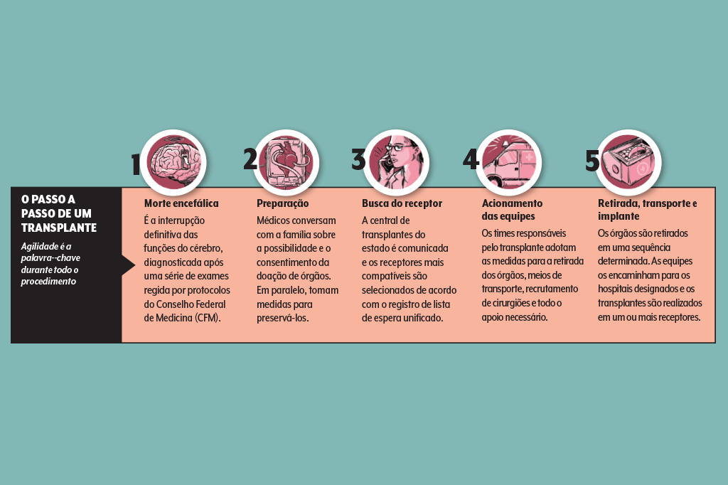 496-materia-doacao-orgaos-passo-a-passo