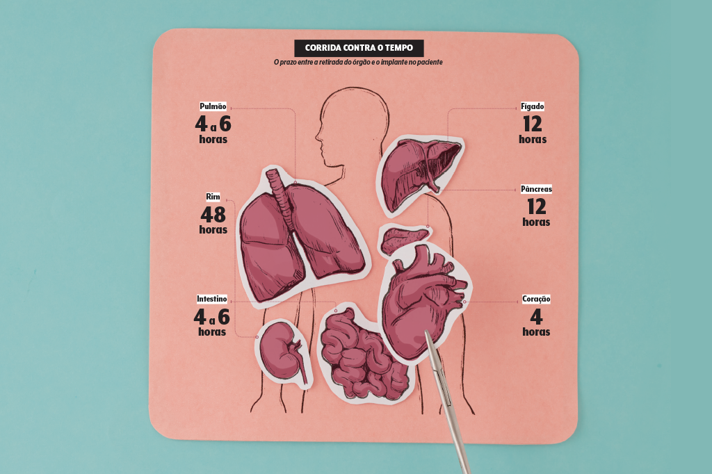 496-materia-doacao-orgaos-quadro-tempo