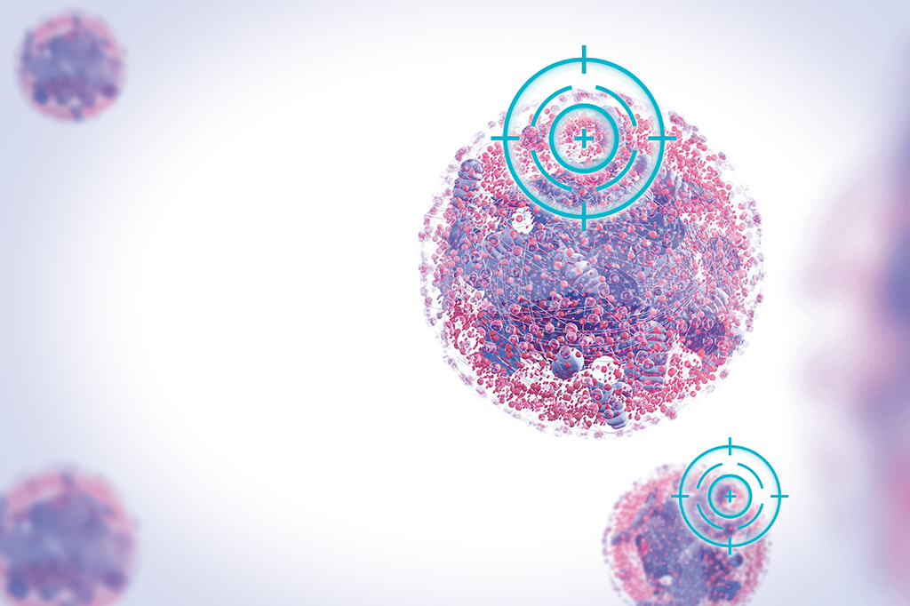 Cientistas descobrem “fonte da juventude” do sistema imunológico