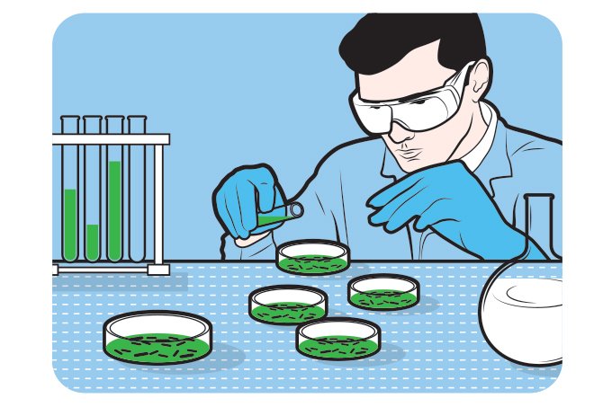A busca por soluções capazes de tornar diagnósticos mais ágeis e precisos
