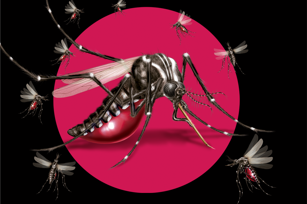 Nem heróis nem vilões: sobre mosquitos, vírus e homens