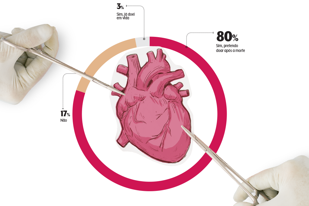 497-conexao-doacao-orgaos-coracao-grafico