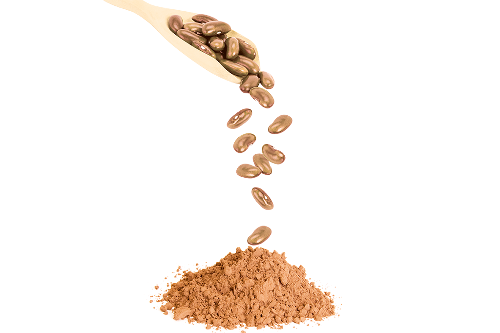 Whey protein de feijão?