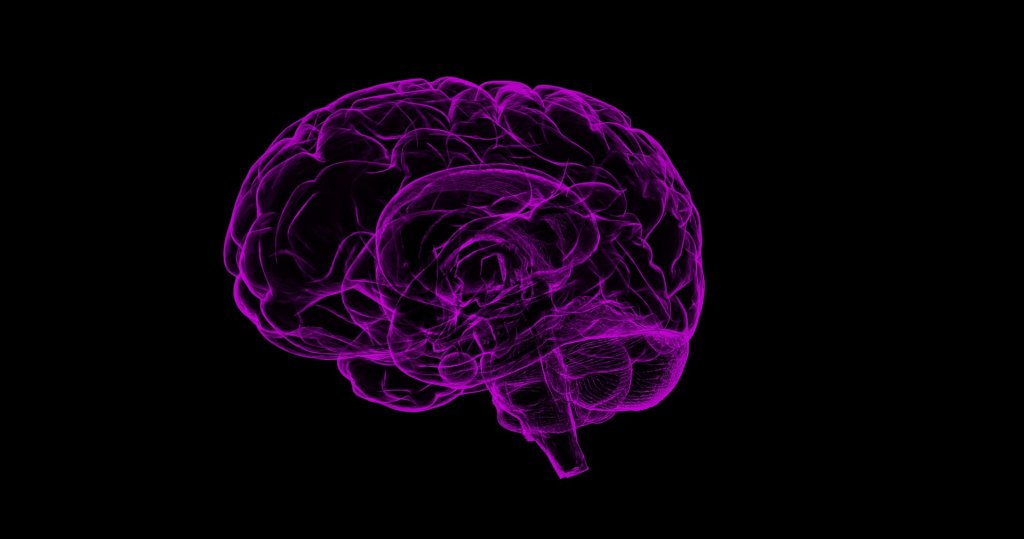 Maior estudo genético sobre epilepsia encontra mutações predisponentes