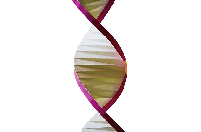 Seu DNA conta tudo? O que os testes genéticos realmente revelam