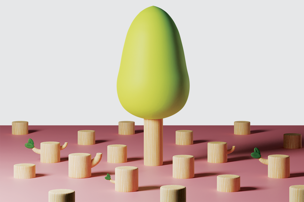 80% das espécies de árvores típicas da Mata Atlântica podem sumir