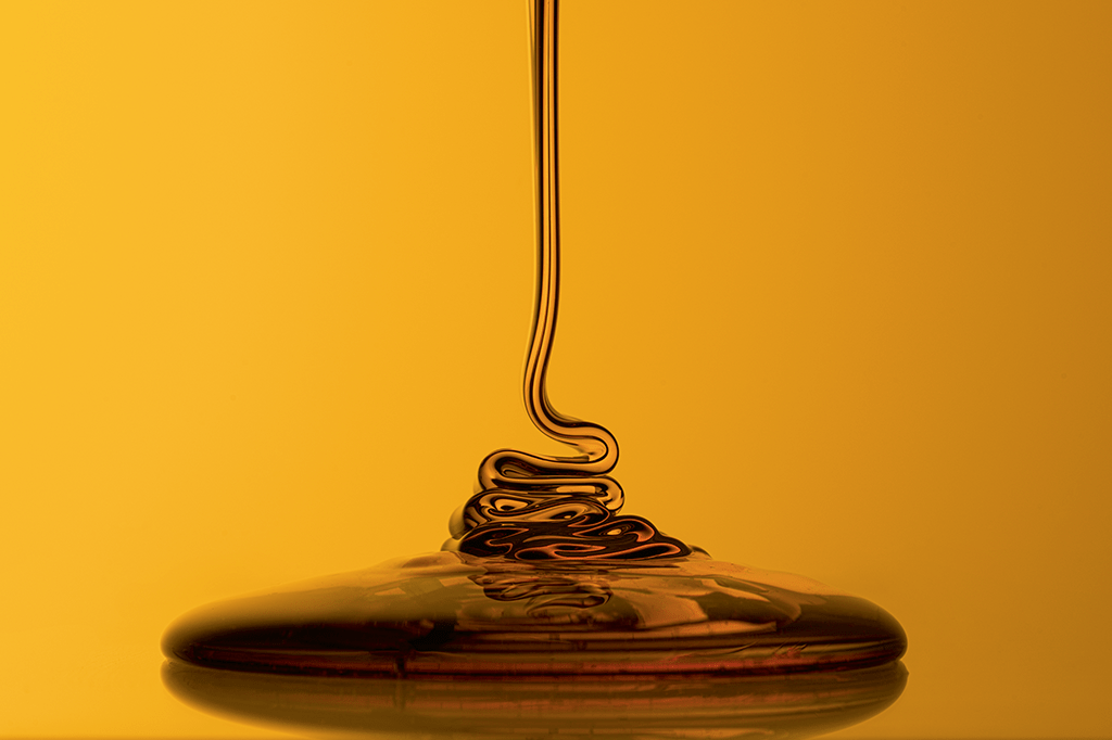 Mel nativo: o ouro do Brasil