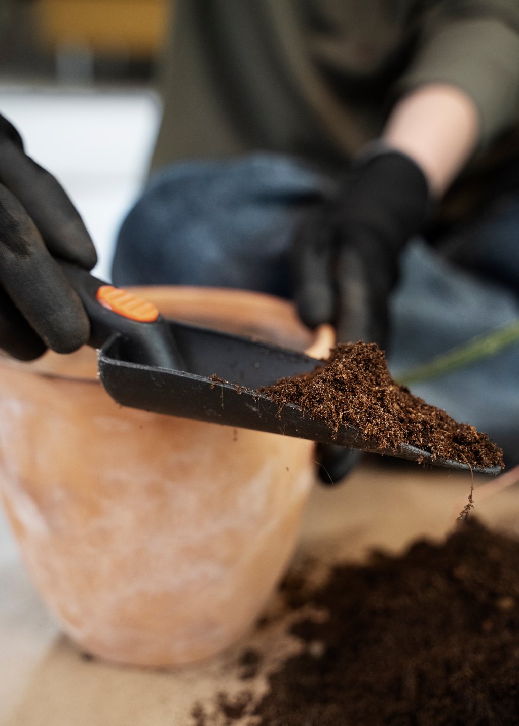 Borra de café não elimina mosquito da dengue