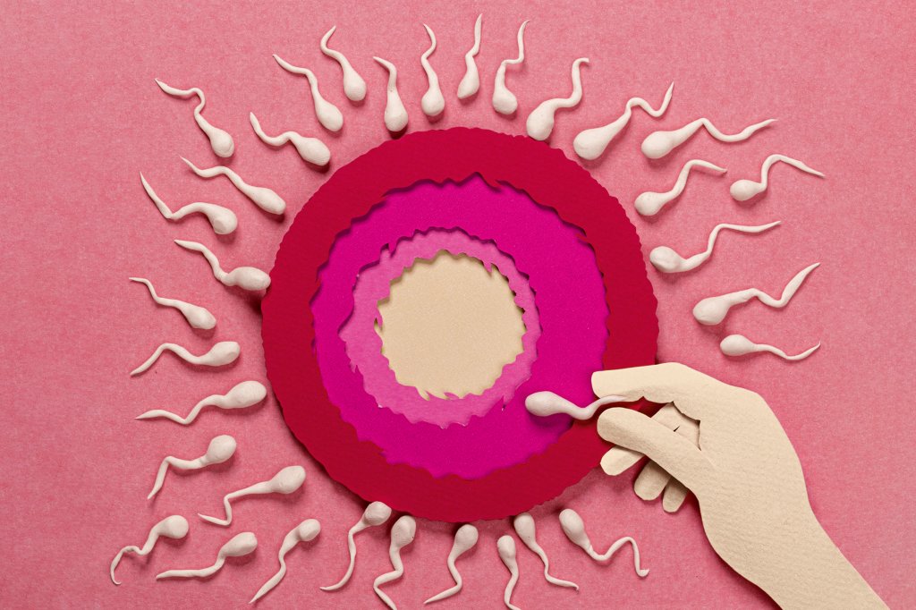 Além da reprodução: cientistas descobrem função inédita do espermatozoide