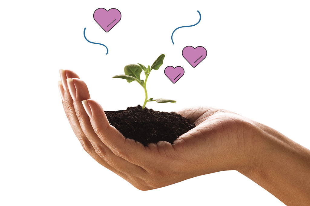 Prescrições do editor: leituras para entender o poder das árvores