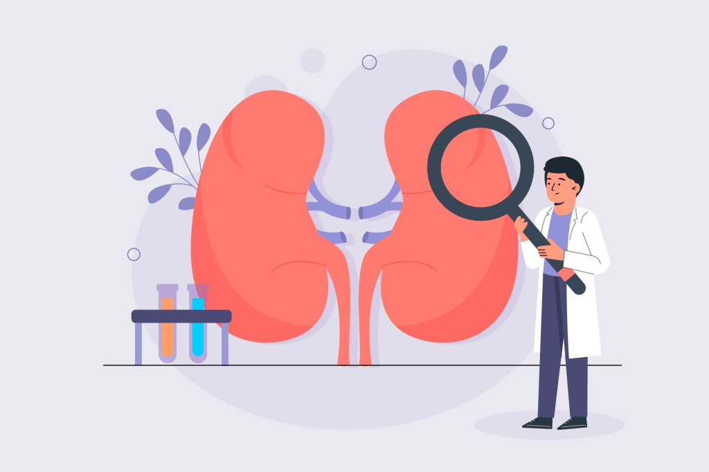 Doença renal crônica: o que é e como é o tratamento