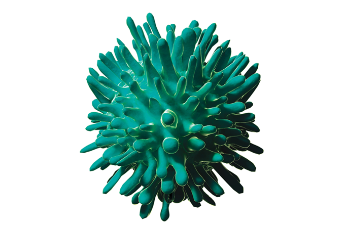 Mortes por hepatites virais estão aumentando no mundo