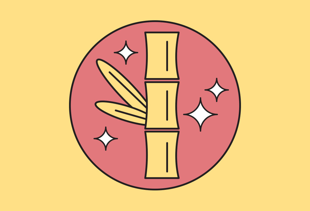 Bagaço da cana-de-açúcar é utilizado contra herbicida em pesquisa