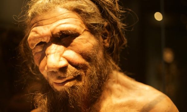 Os vírus dos neandertais: uma viagem genética até o passado