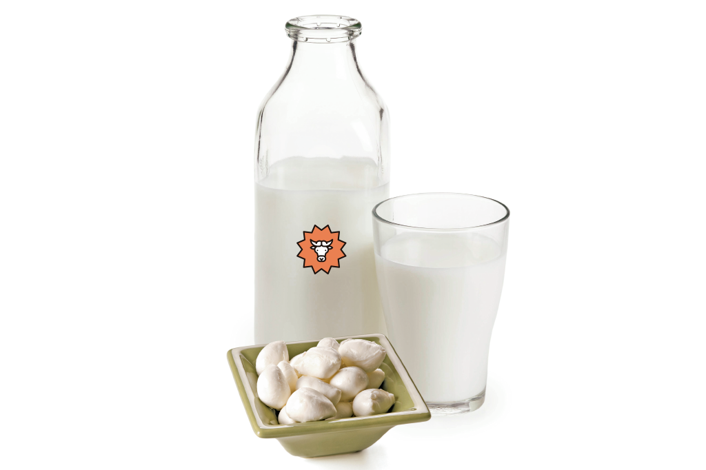 Laticínios de búfala são mais nutritivos que os de vaca?