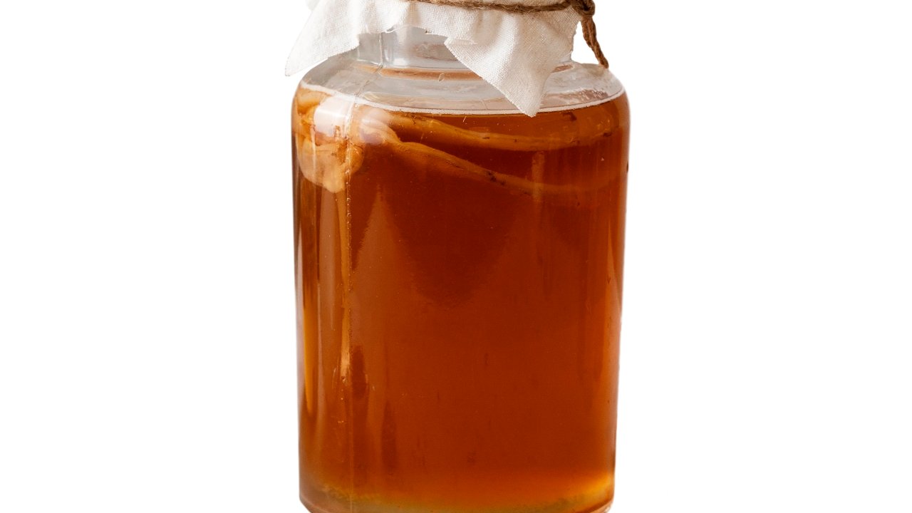 kombucha-bebida-fermentada-scoby