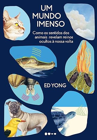 mundo-imenso