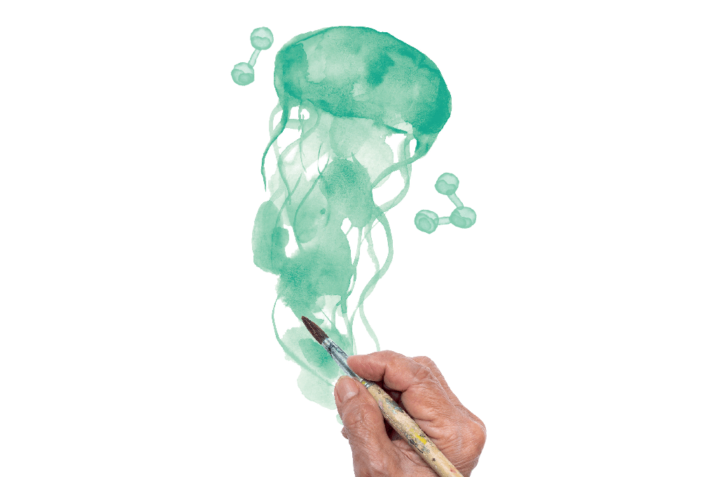 O que podemos aprender com os animais sobre longevidade