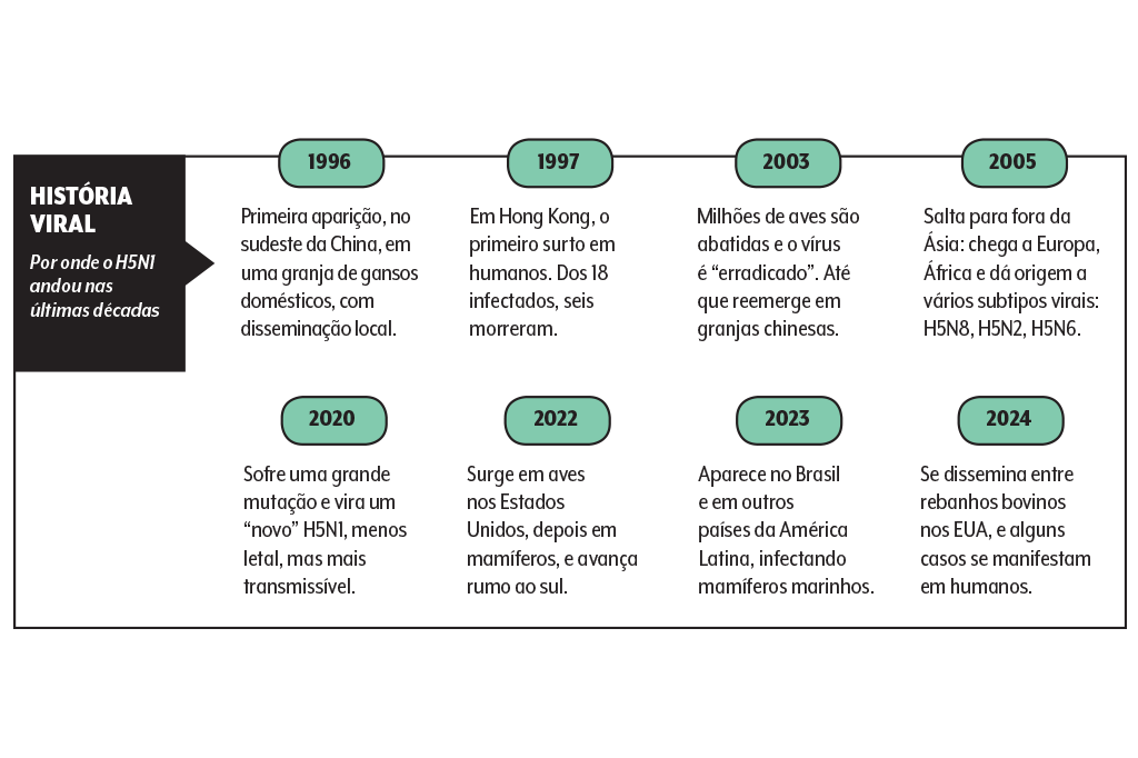 gripe-aviaria-historico